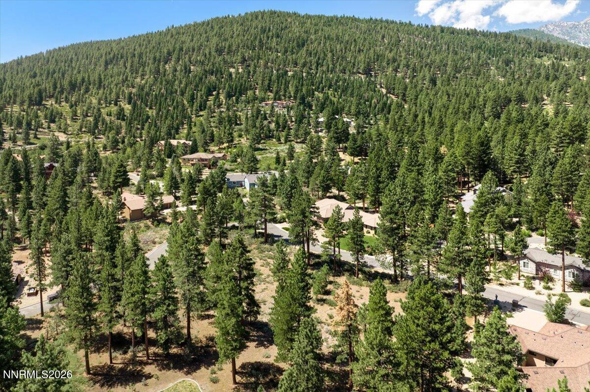 279 East Jeffrey Pine Road, Unit B/7 Reno, NV 89511 - Photo 4 of 18 04-DJI_0579