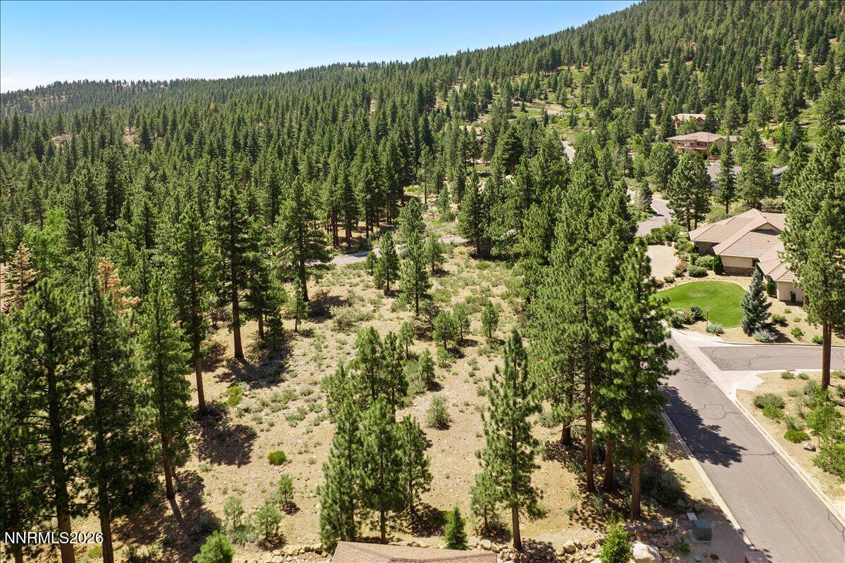279 East Jeffrey Pine Road, Unit B/7 Reno, NV 89511 - Photo 5 of 18 05-DJI_0584