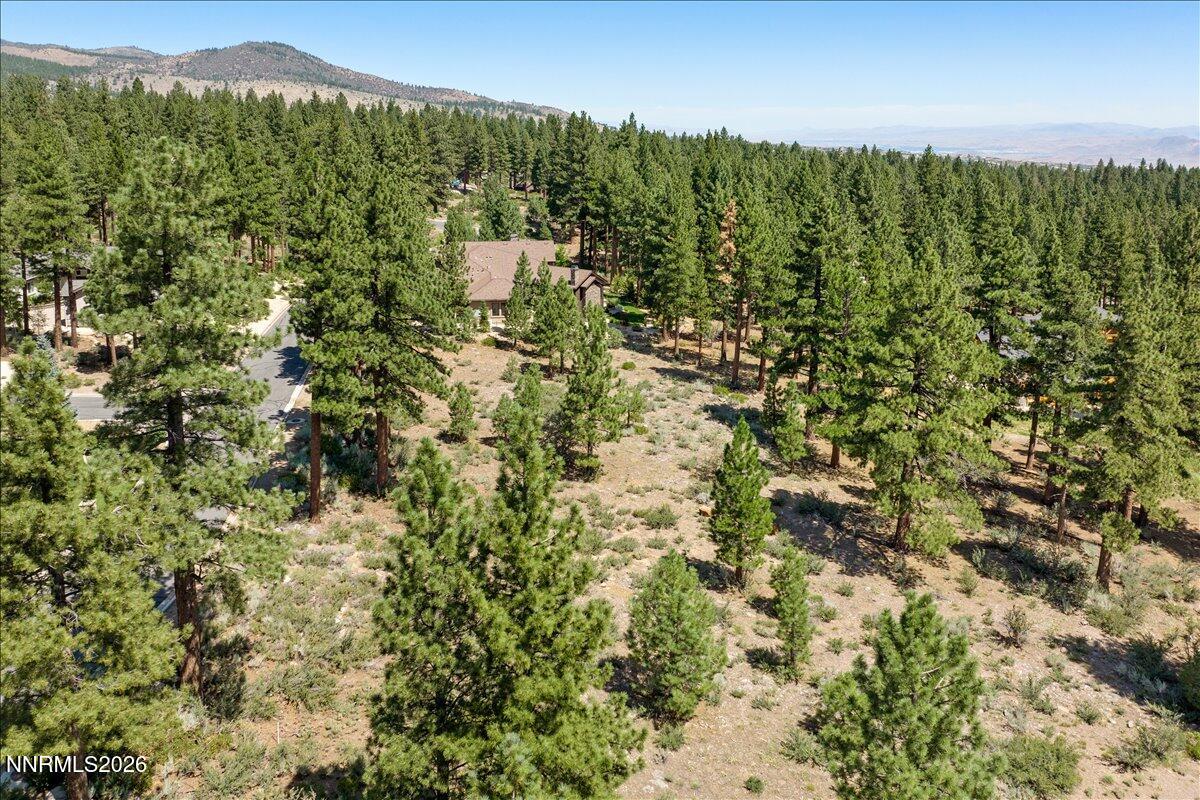 279 East Jeffrey Pine Road, Unit B/7 Reno, NV 89511 - Photo 6 of 18 06-DJI_0589