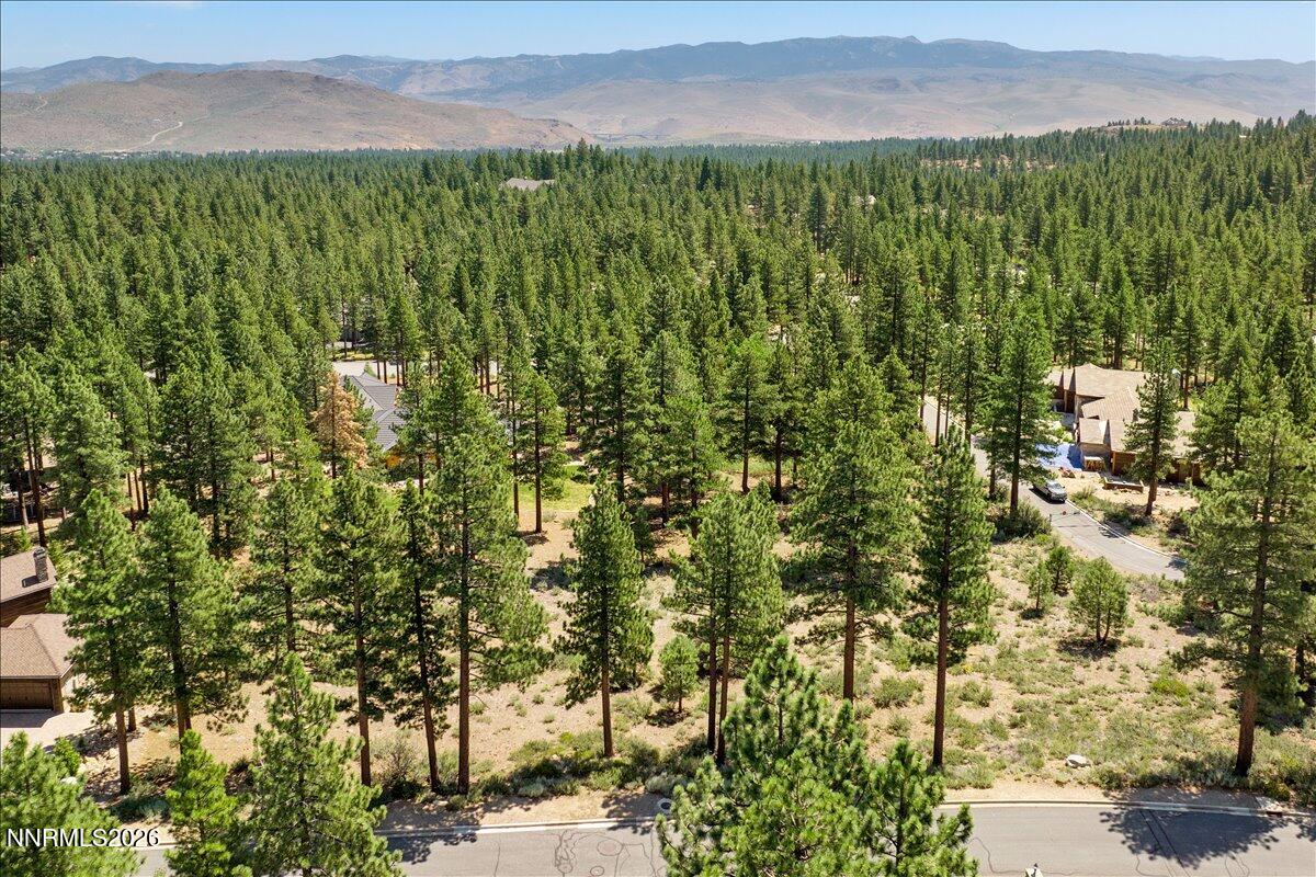 279 East Jeffrey Pine Road, Unit B/7 Reno, NV 89511 - Photo 7 of 18 07-DJI_0594