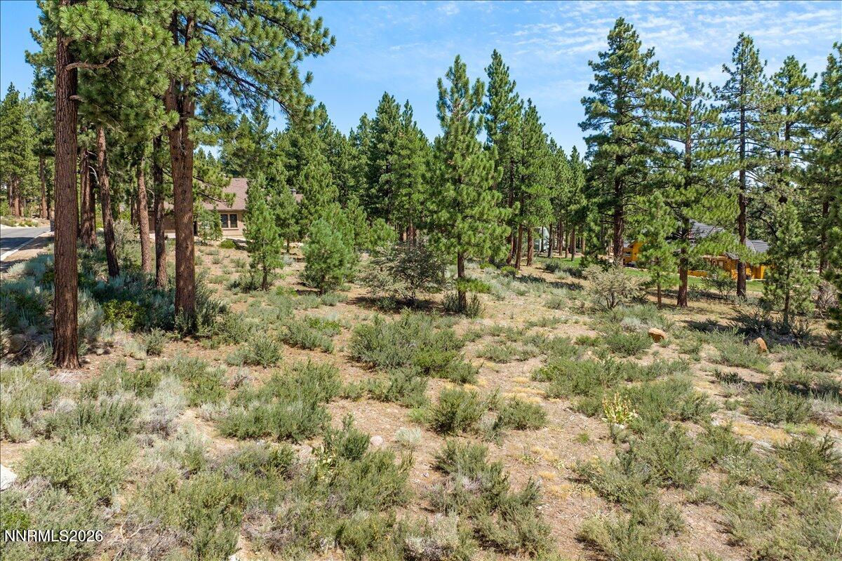 279 East Jeffrey Pine Road, Unit B/7 Reno, NV 89511 - Photo 8 of 18 08-DJI_0606