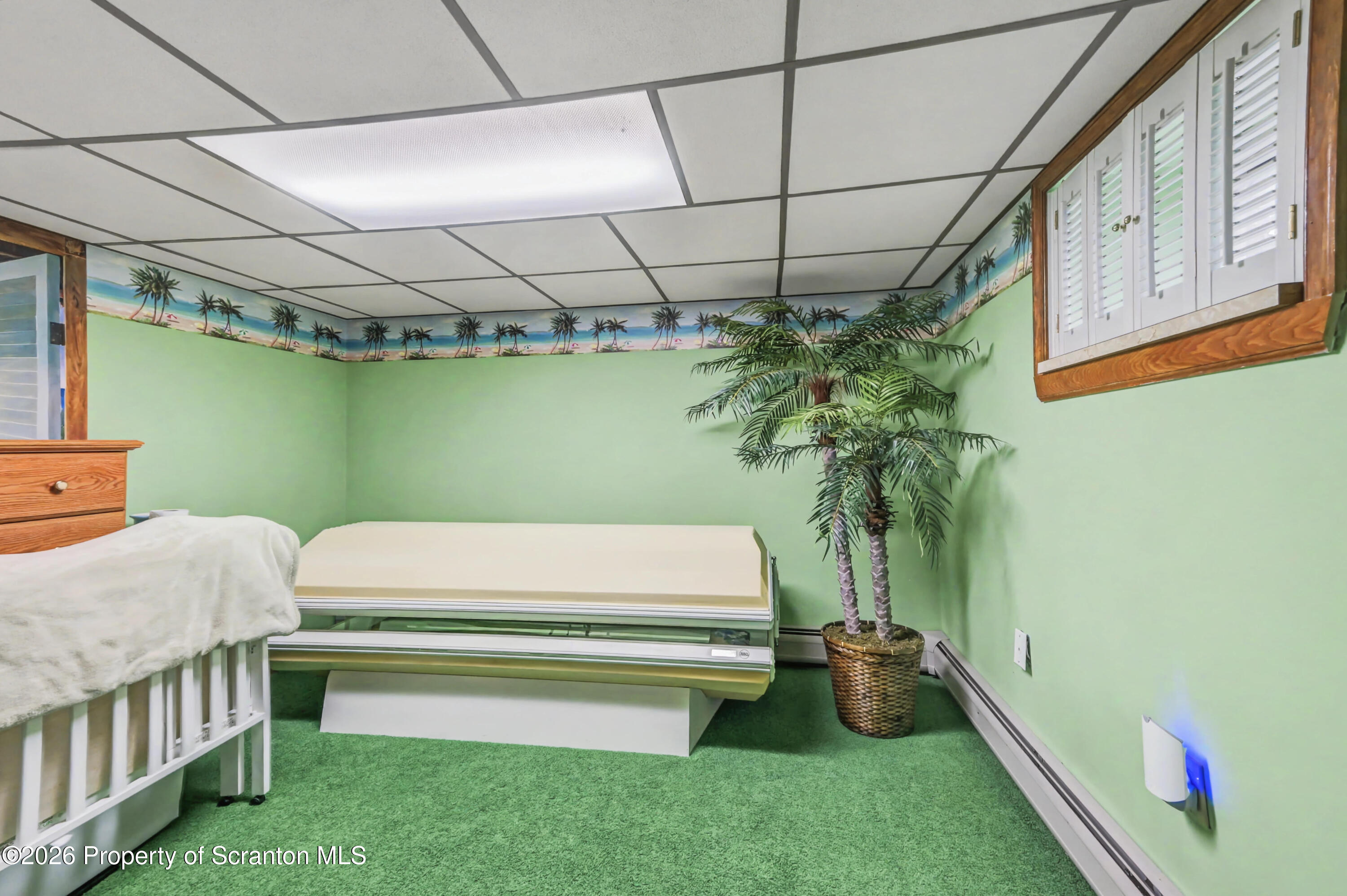 317 Bailey Street Clarks Summit, PA 18411 - Photo 81 of 95 a bathroom with a bathtub and potted plant