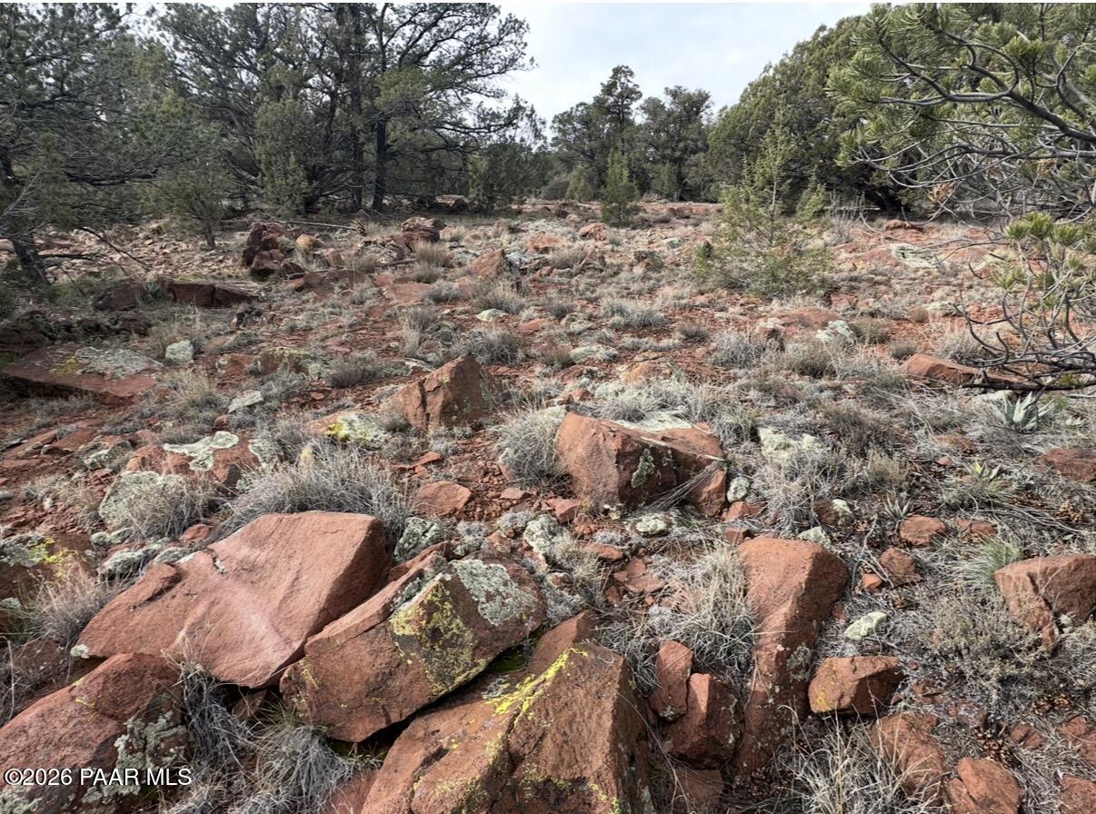 66 B Howling Wolf Road Ash Fork, AZ 86320 - Photo 2 of 8 a view of a forest with a house