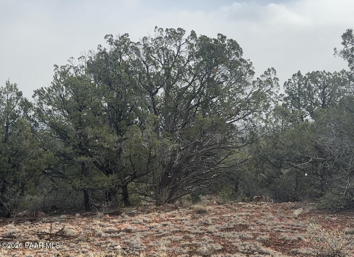 66 B Howling Wolf Road Ash Fork, AZ 86320 - Photo 3 of 8 a view of a yard