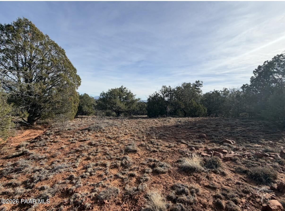 66 B Howling Wolf Road Ash Fork, AZ 86320 - Photo 4 of 8 a view of a outdoor space with trees