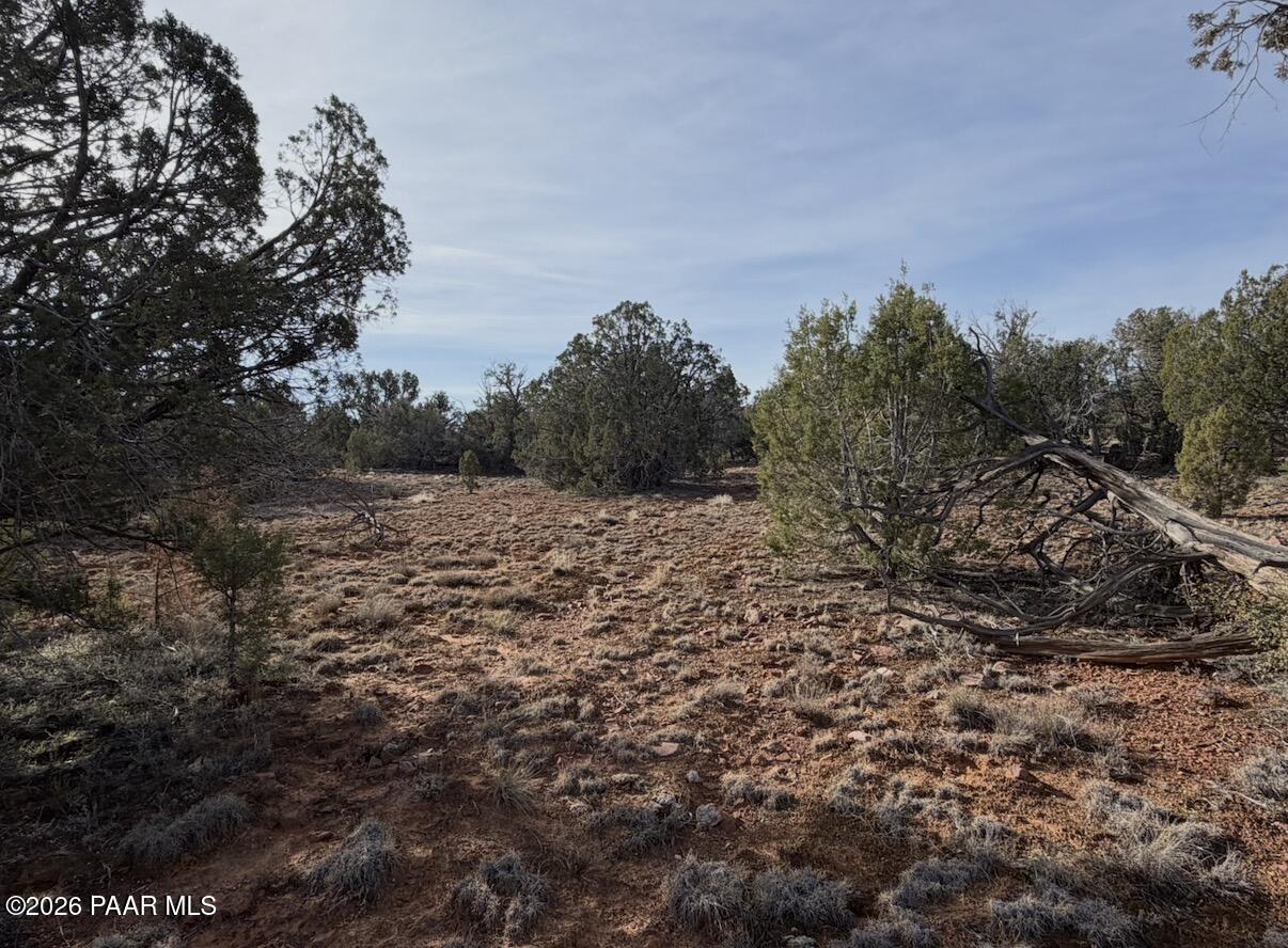 66 B Howling Wolf Road Ash Fork, AZ 86320 - Photo 6 of 8 a view of a field