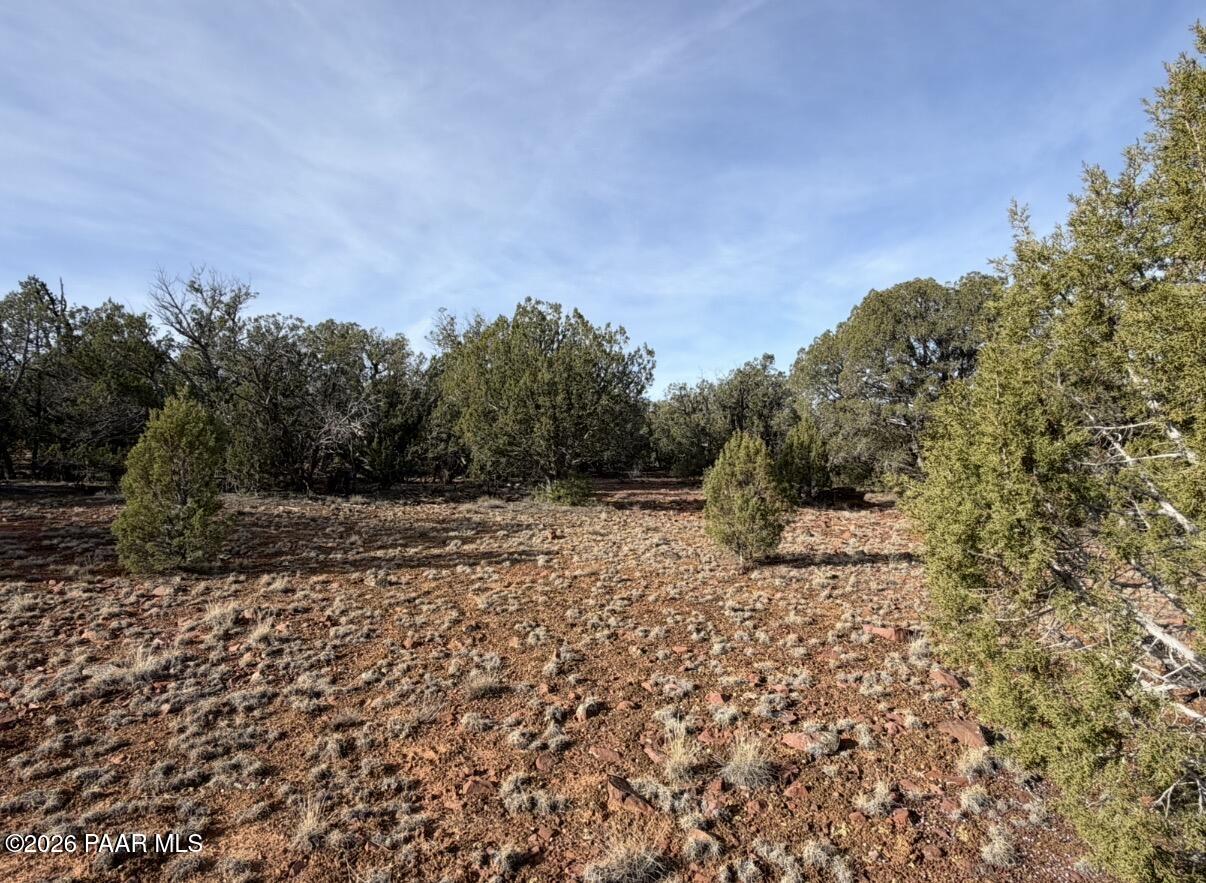 66 B Howling Wolf Road Ash Fork, AZ 86320 - Photo 7 of 8 a view of a dry yard with trees and wooden fence