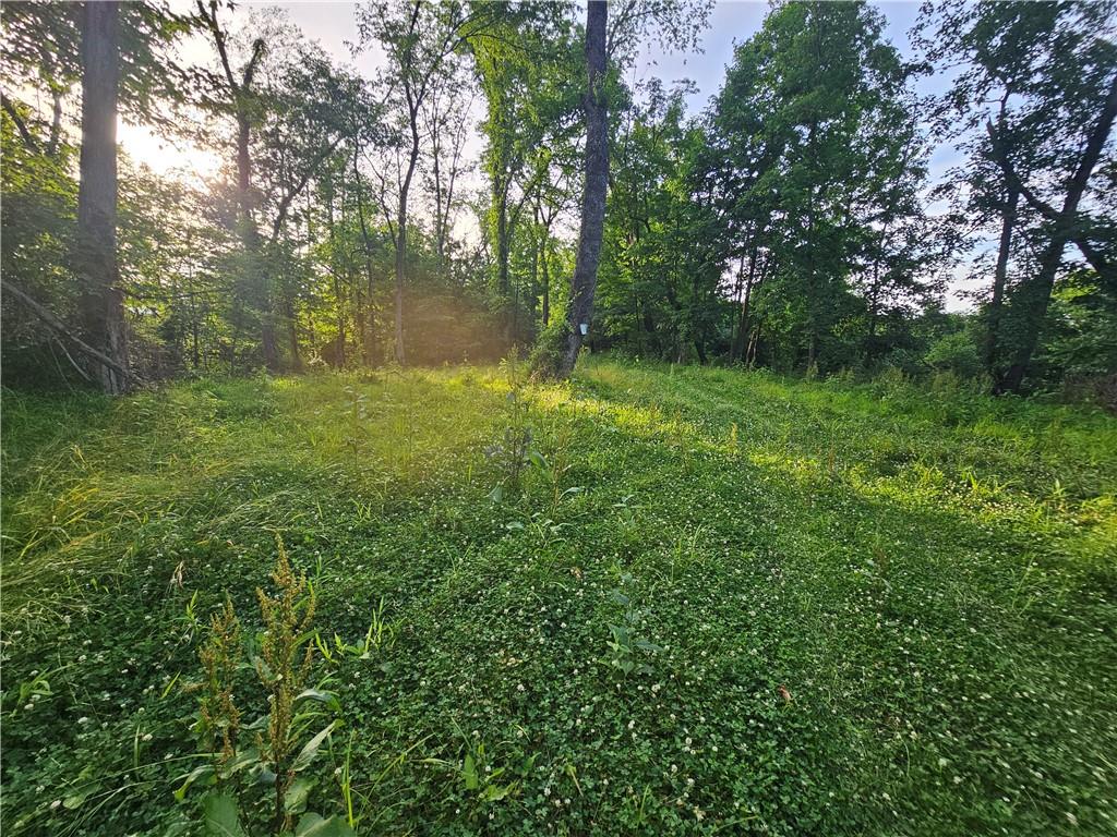 0 Fallen Timber Road Avella, PA 15312 - Photo 1 of 18