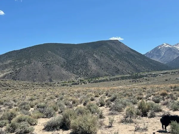 $89,500 | 1330 Wild Horse Run, Dyer, NV 89010