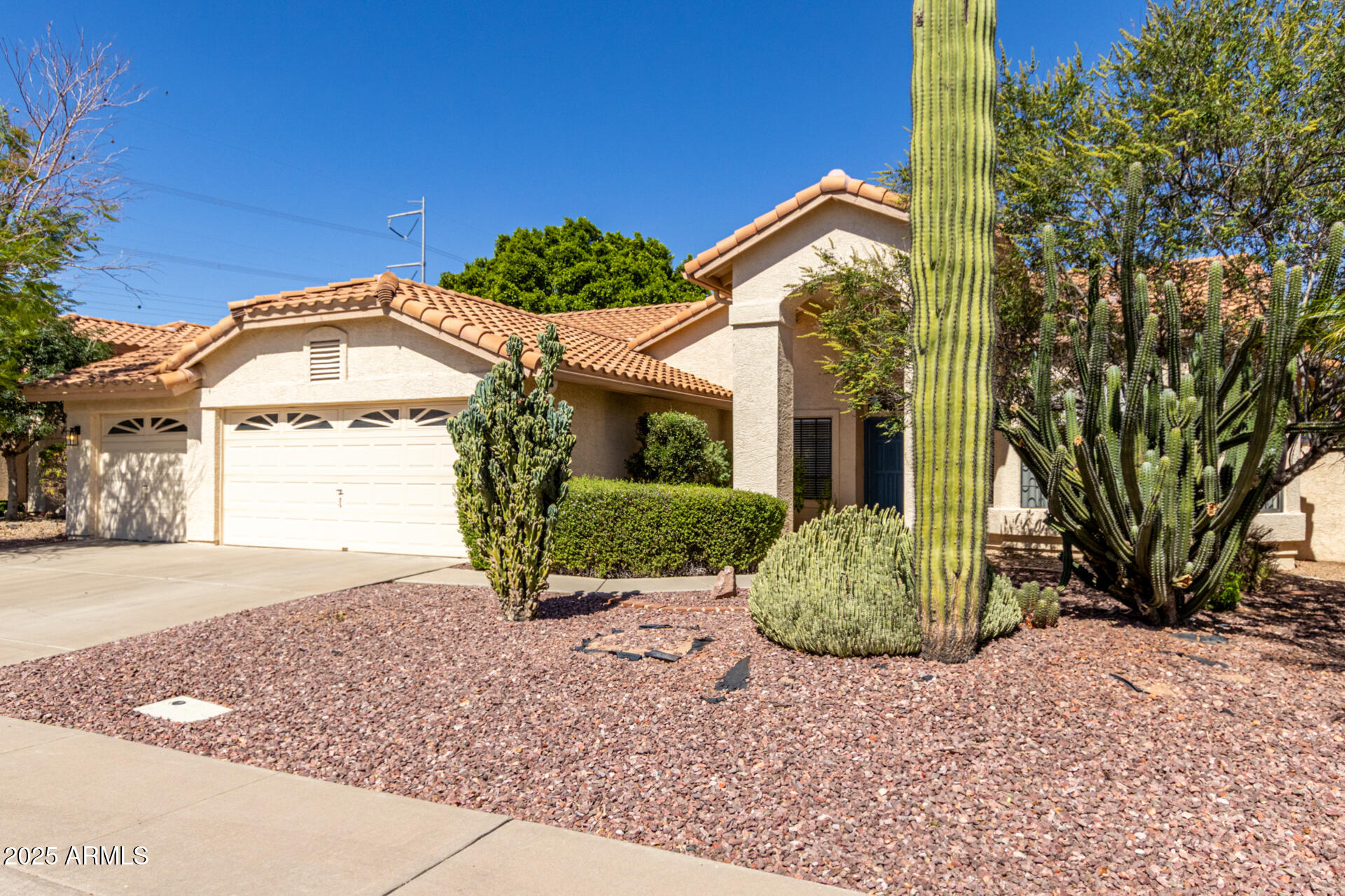 319 North Riata Street Gilbert, AZ 85234 - Photo 3 of 44 03 Riata