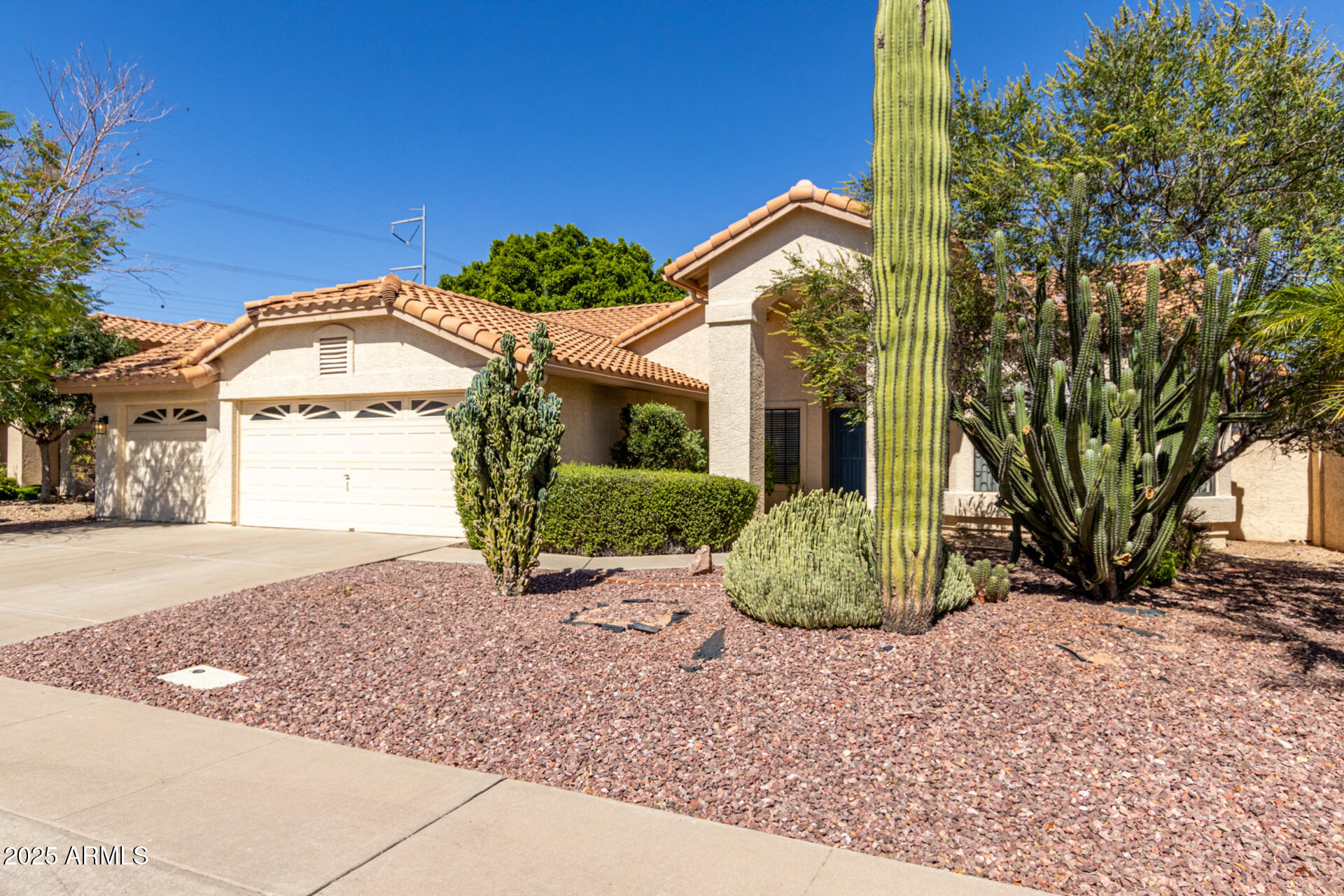 319 North Riata Street Gilbert, AZ 85234 - Photo 4 of 44 04 Riata