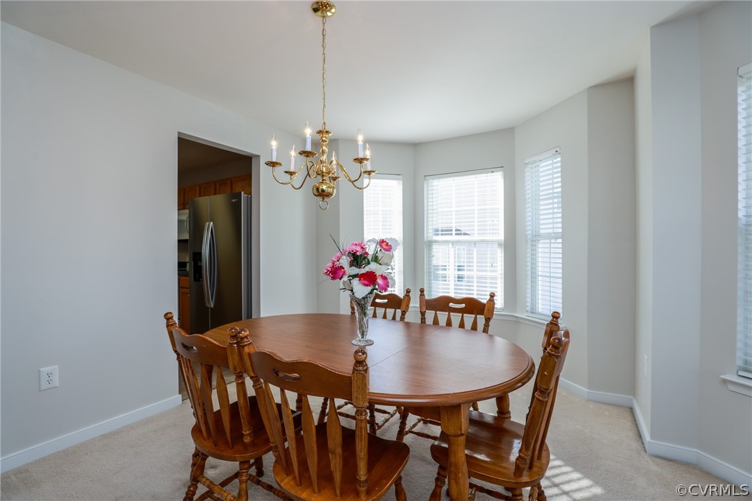 519 Ridgemoor Place Midlothian, VA 23114 - Photo 19 of 45 Gallery Image 19