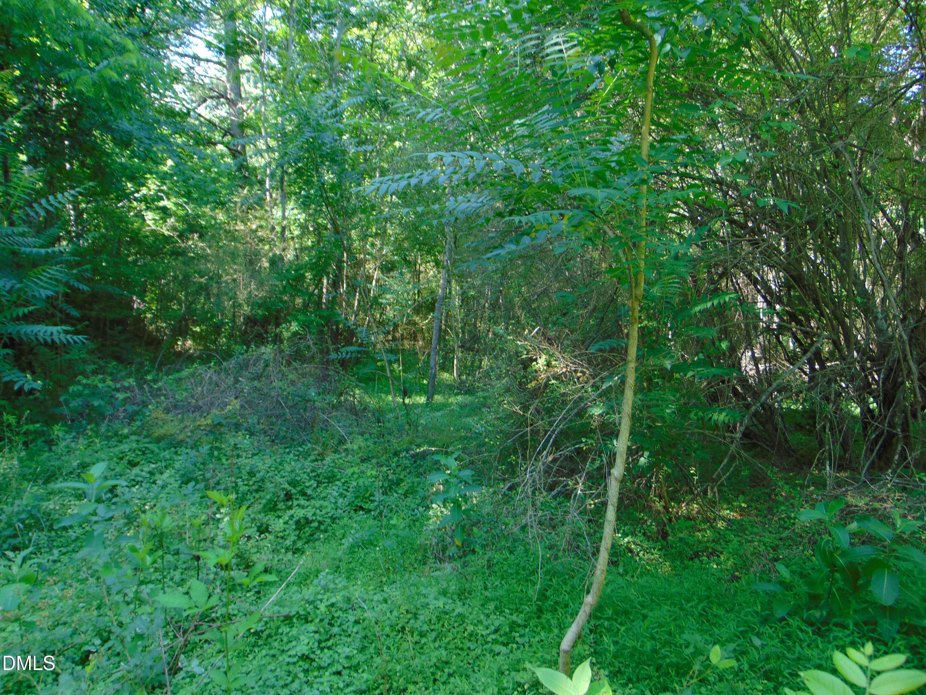 0 Big Woods Road Macon, NC 27551 - Photo 21 of 28