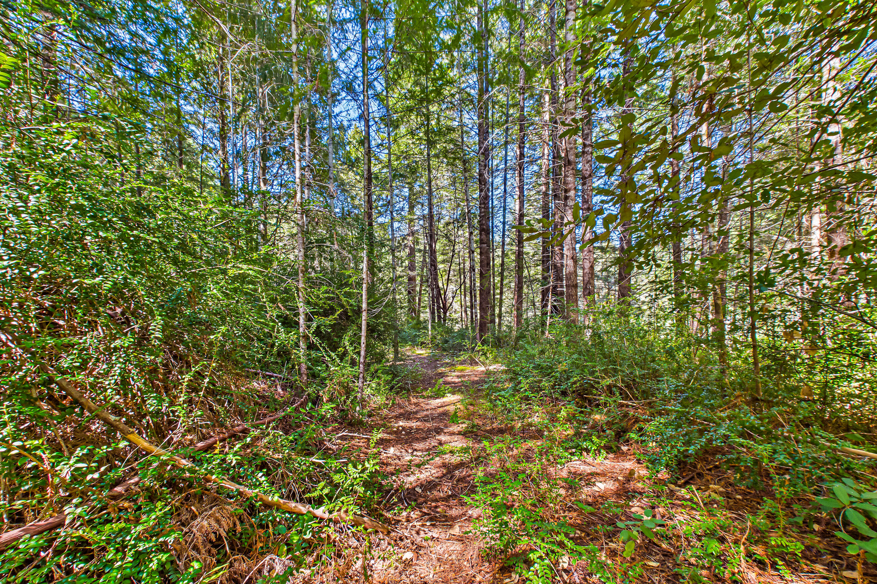290 Green House Road Whitethorn, CA 95589 - Photo 66 of 73