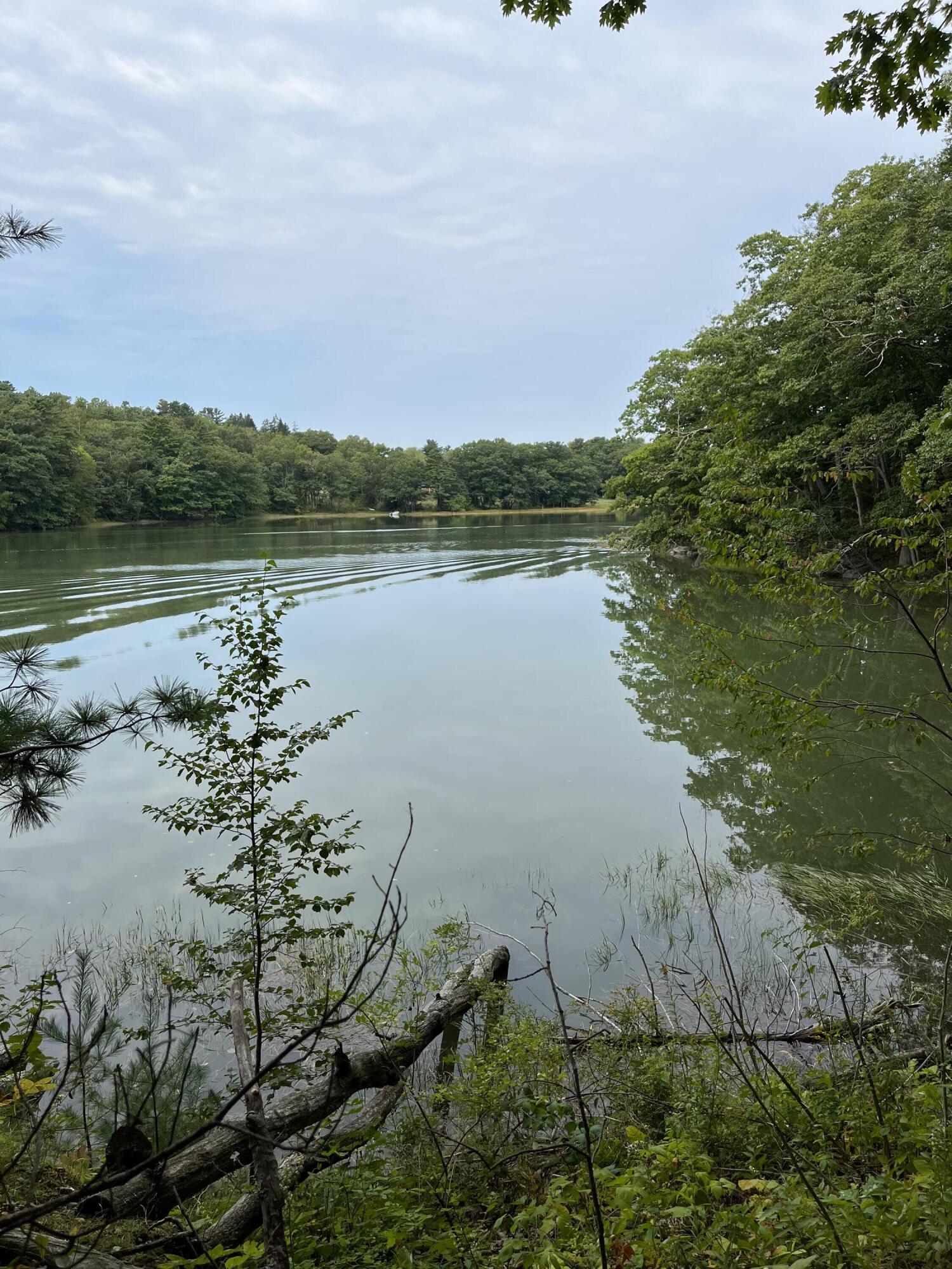 265 Friendship Road Waldoboro, ME 04572 - Photo 2 of 5 IMG_0631