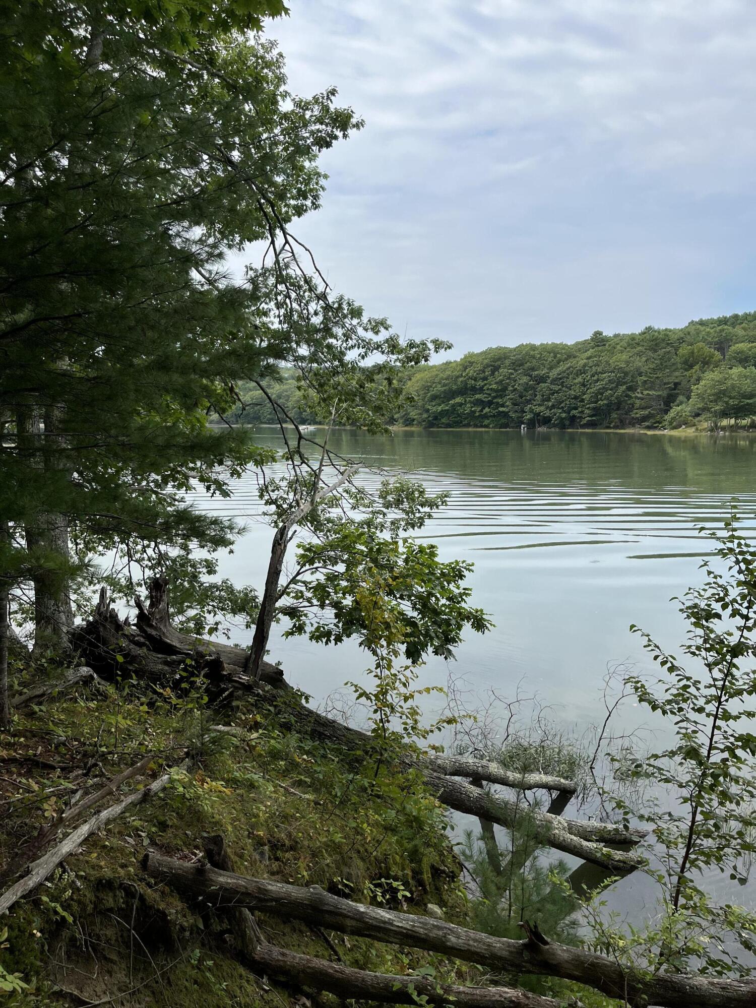 265 Friendship Road Waldoboro, ME 04572 - Photo 5 of 5 IMG_0632