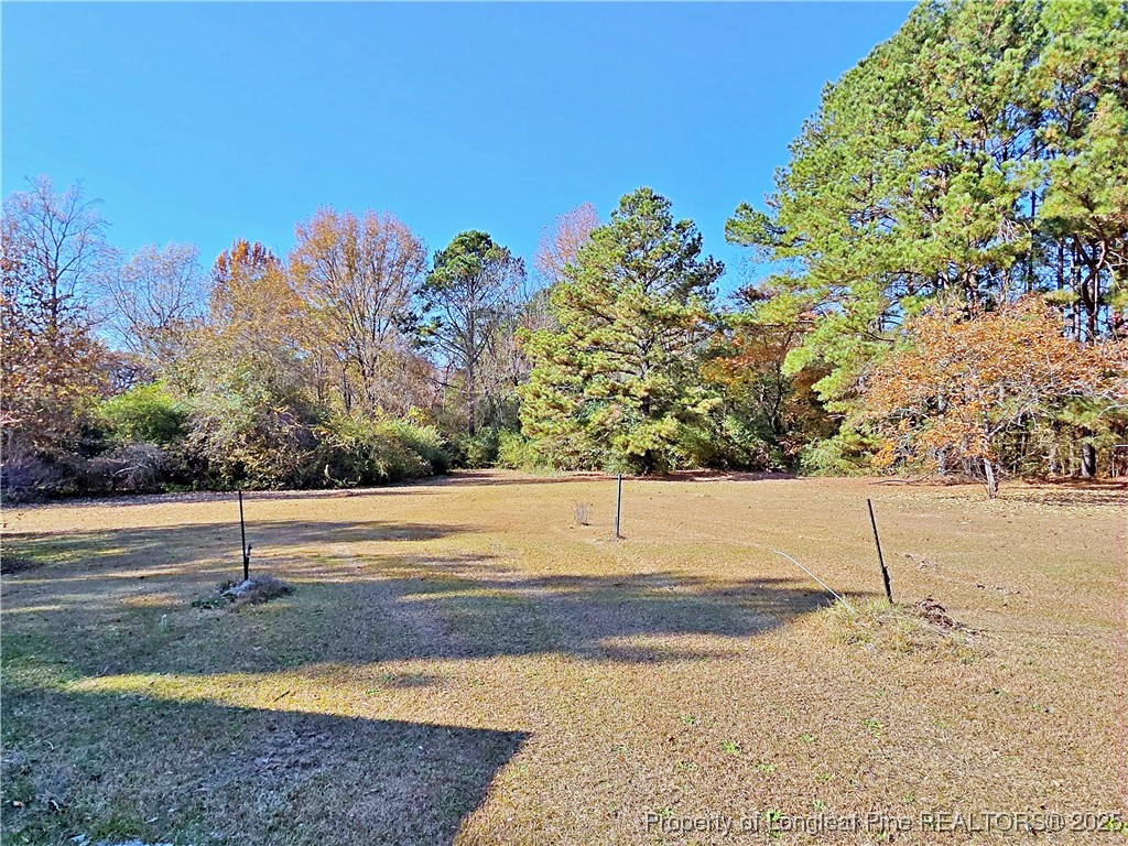 1459 Crawford Wright Road Raeford, NC 28376 - Photo 46 of 50 a view of a basket ball ground
