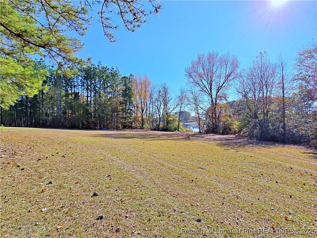 1459 Crawford Wright Road Raeford, NC 28376 - Photo 47 of 50 a view of swimming pool with trees in the background