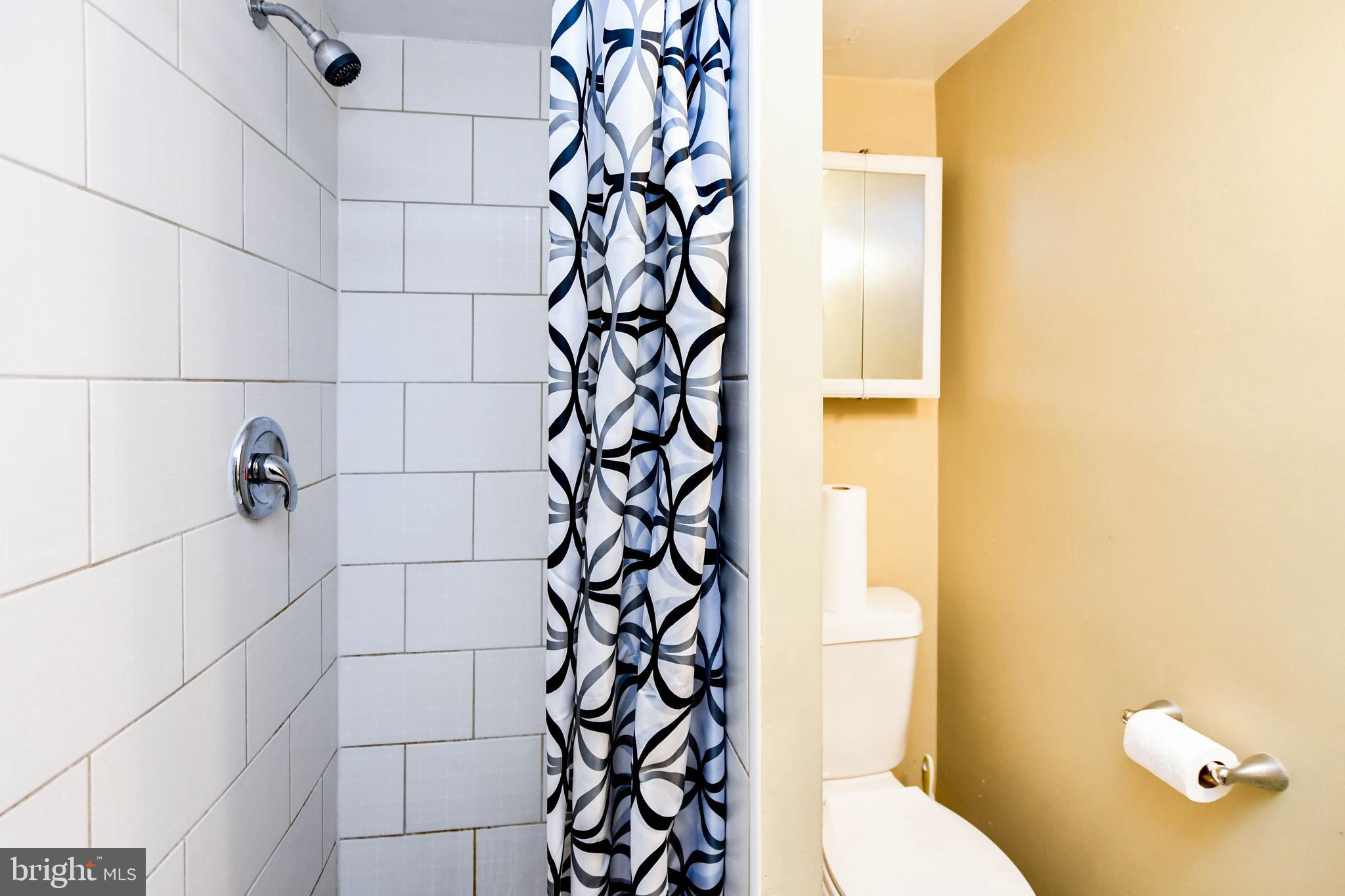 7513 Garrison Road Hyattsville, MD 20784 - Photo 38 of 39 3rd Bathroom Lower Level