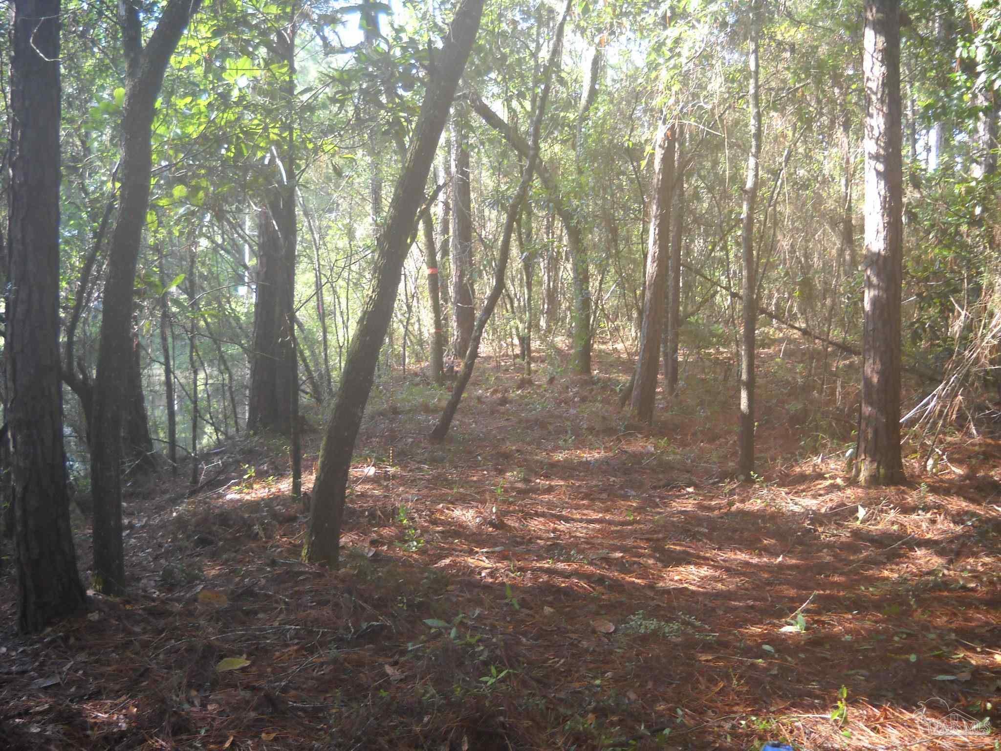 3178 Harrison Street Milton, FL 32583 - Photo 3 of 6