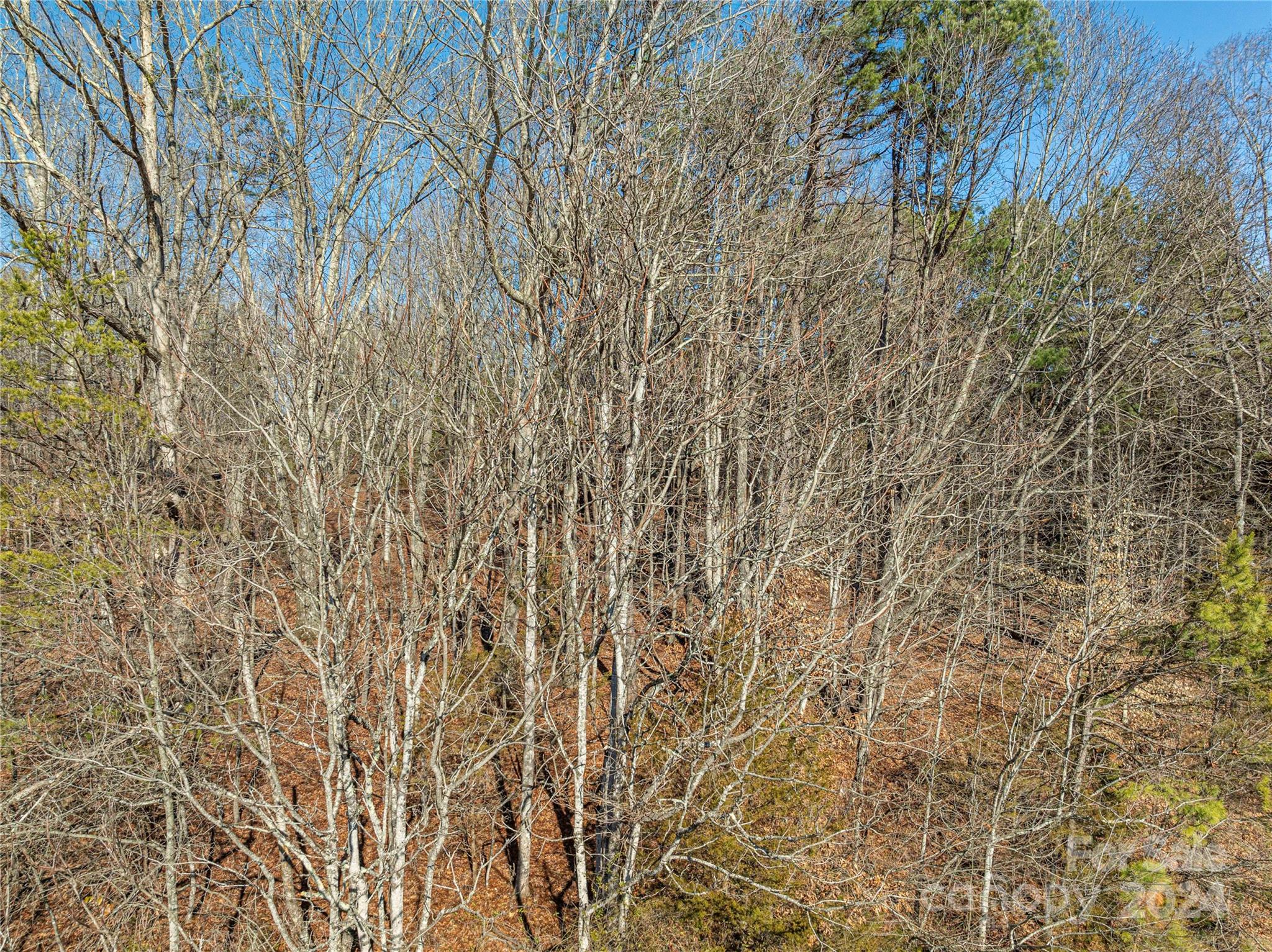 0 Rifle Range Road Conover, NC 28613 - Photo 11 of 48 Gallery Image 11