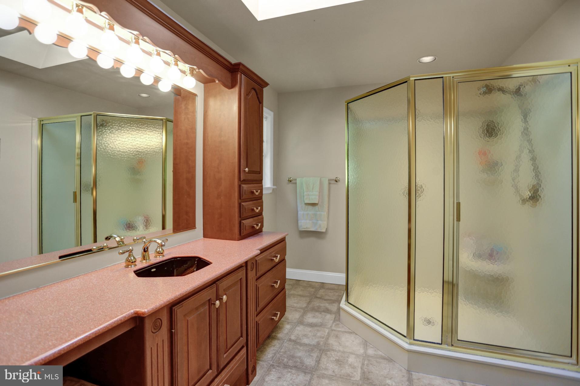 545 Laurel Ridge Road Reinholds, PA 17569 - Photo 23 of 65 Master Bathroom - glass enclosed walk-in shower