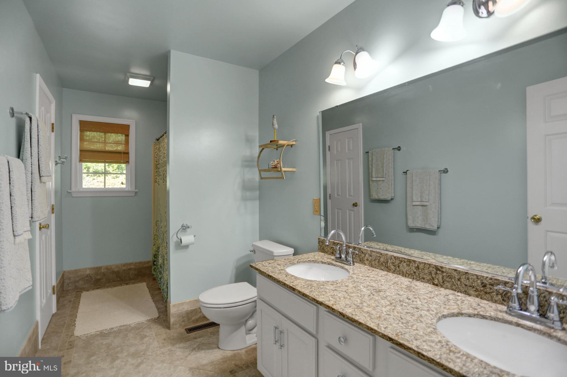 545 Laurel Ridge Road Reinholds, PA 17569 - Photo 31 of 65 Hall Bathroom