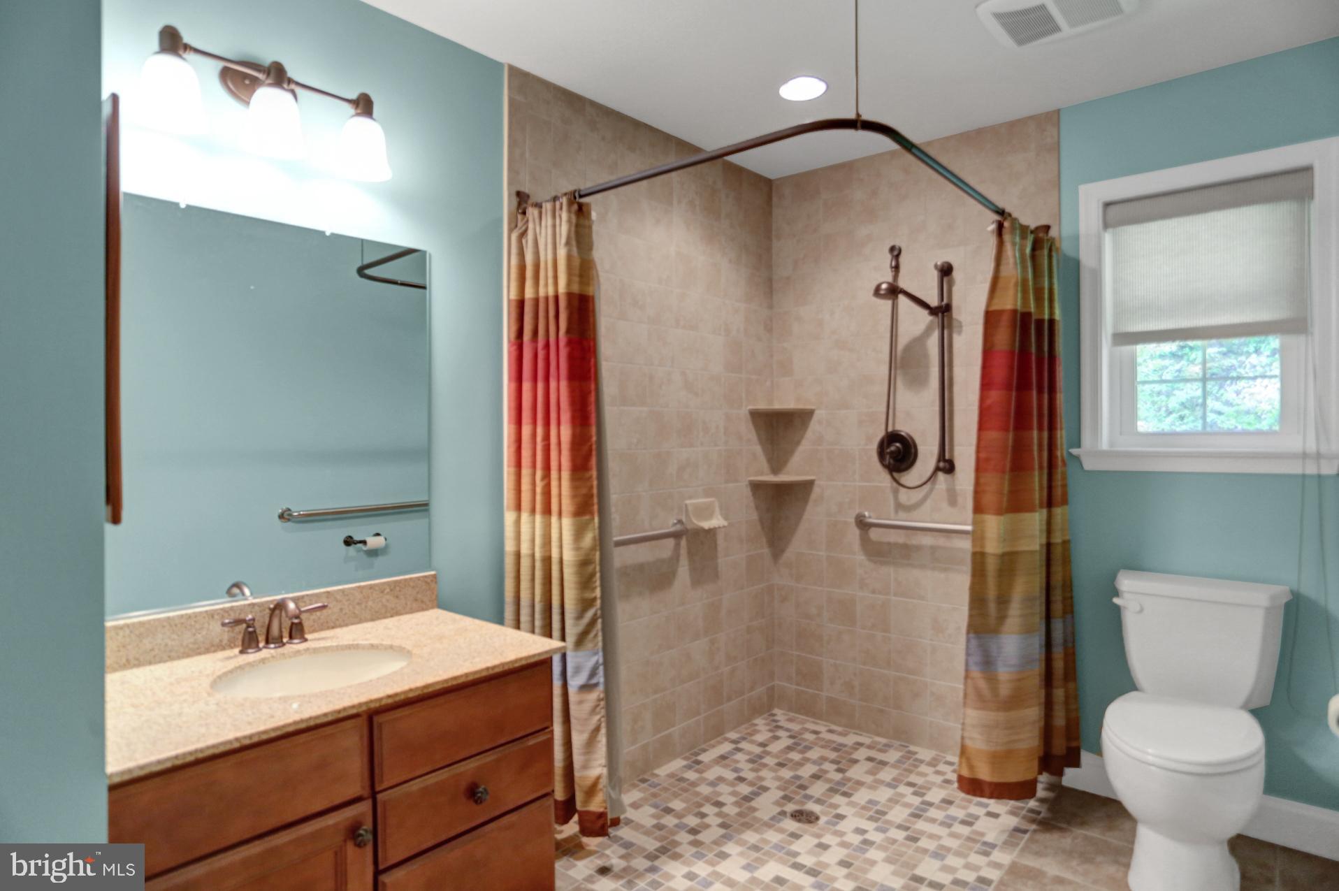 545 Laurel Ridge Road Reinholds, PA 17569 - Photo 44 of 65 In-law Bathroom with walk-in/roll-in shower