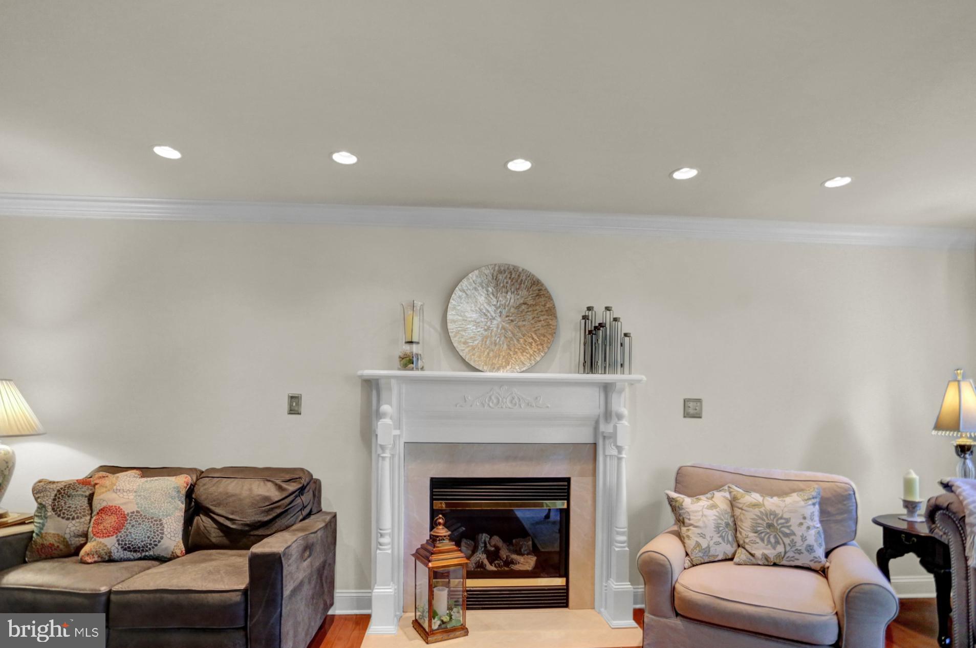 545 Laurel Ridge Road Reinholds, PA 17569 - Photo 7 of 65 Gas Log Fireplace in LR