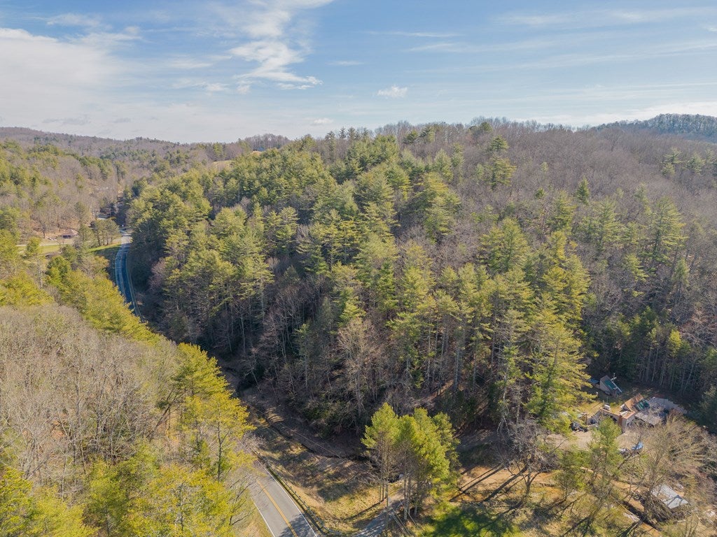 12-acres Powerhouse Road, Unit 14D Independence, VA 24348 - Photo 21 of 44 Gallery Image 21