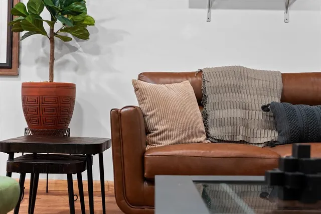 a living room with furniture and a potted plant