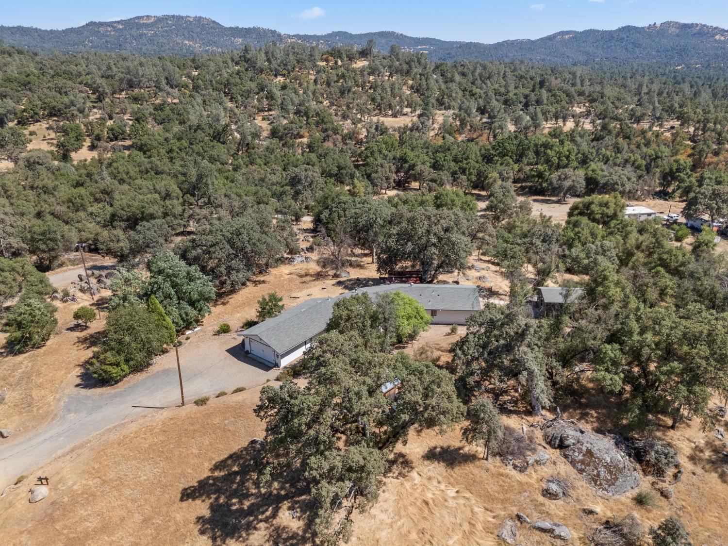 4577 Totokon Road Mariposa, CA 95338 - Photo 25 of 57 a view of a forest with mountains in the background