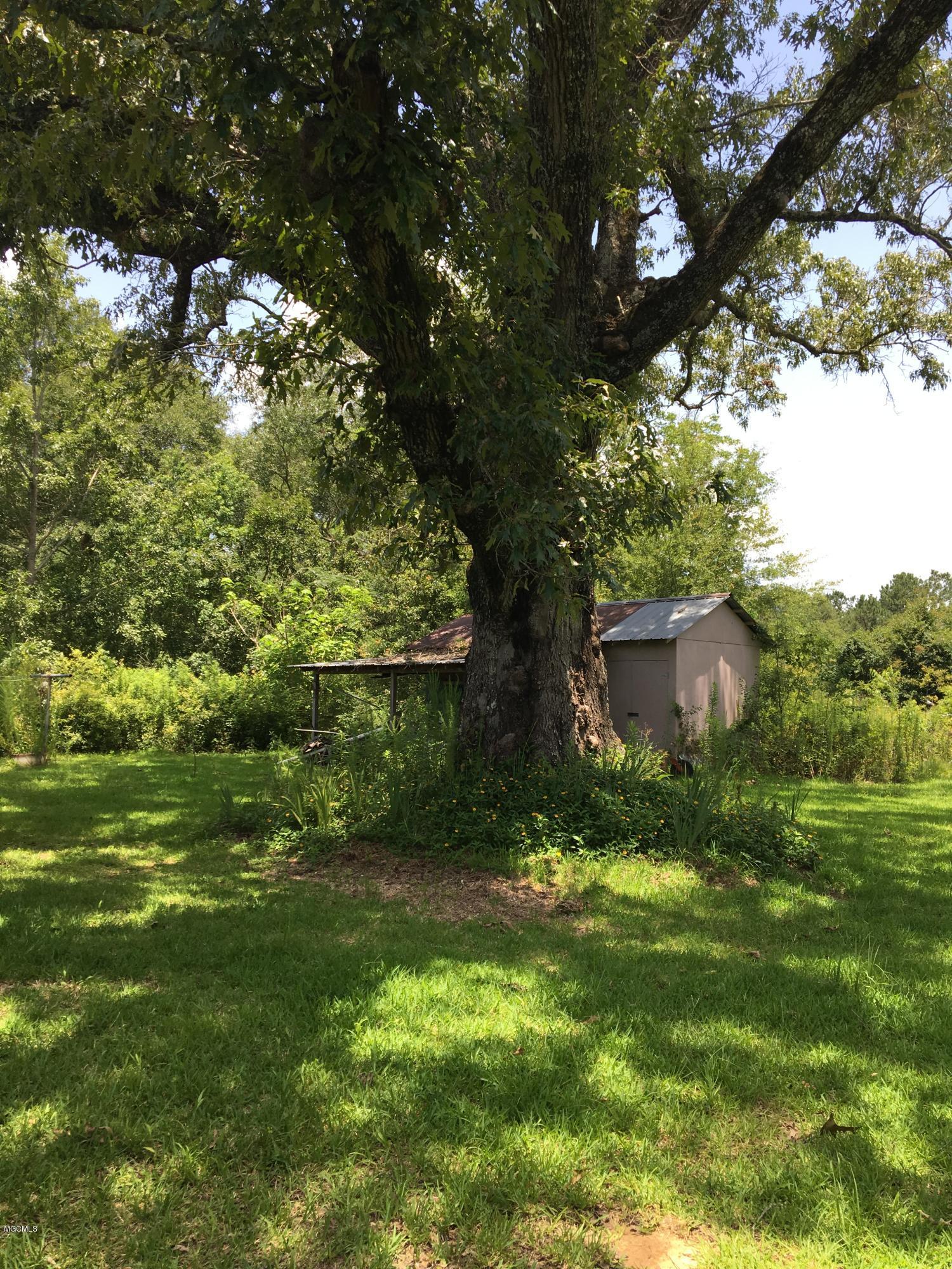 24224 West Wortham Road Saucier, MS 39574 - Photo 5 of 6 IMG_0684