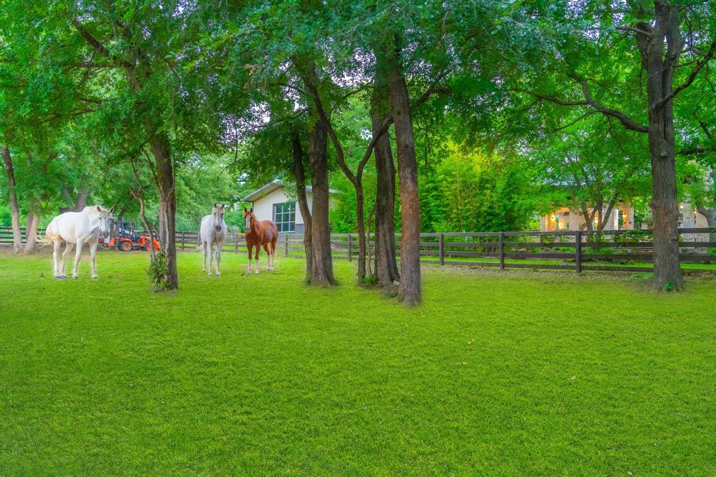 Tbd Bridle Bit Road Flower Mound, TX 75022 - Photo 15 of 24