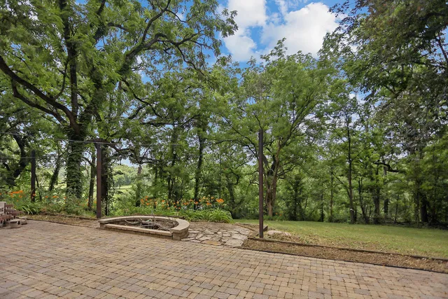 a view of a park with large trees