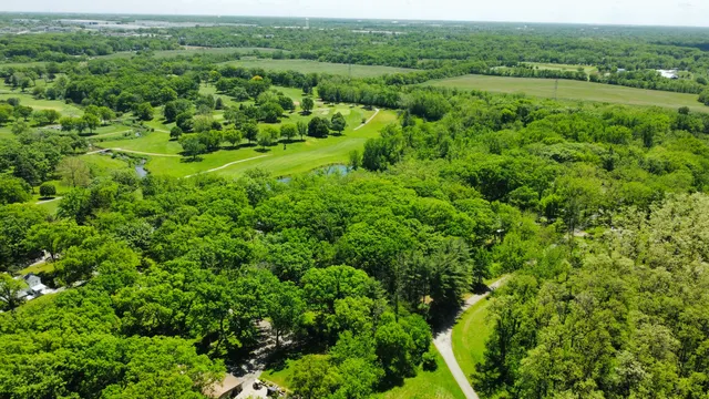 a view of a lush green yard