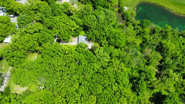 a view of a lake with a city