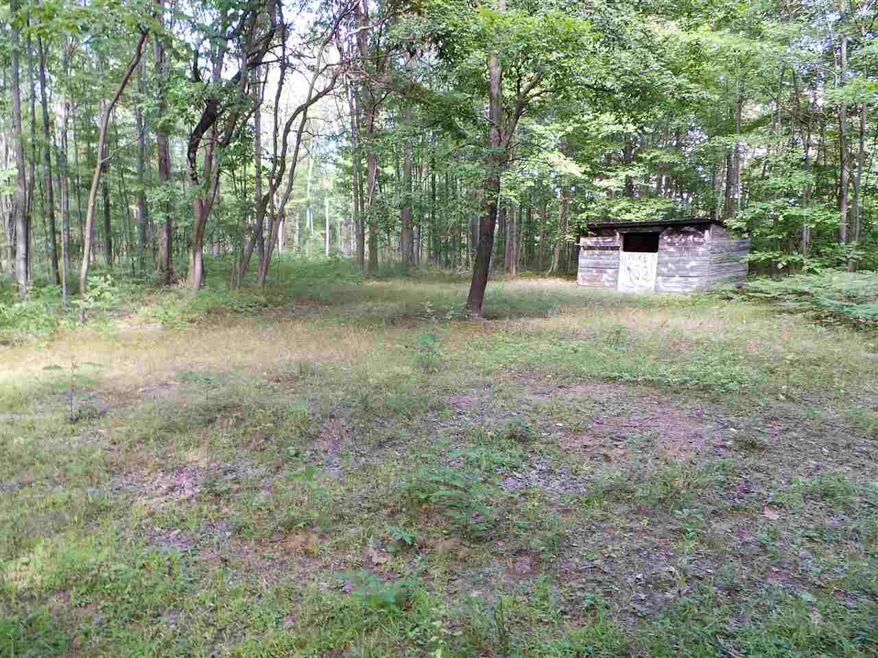 5512 West Gary Road Chesaning, MI 48616 - Photo 6 of 23 31391861-5.JPG
