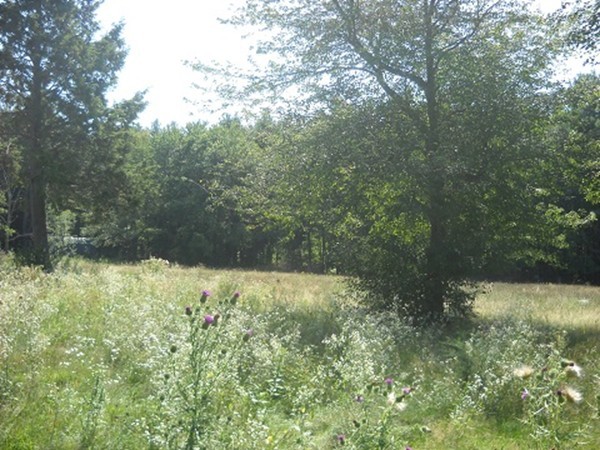 0 Whitaker Road Westfield, MA 01085 - Photo 4 of 7 Gallery Image 4