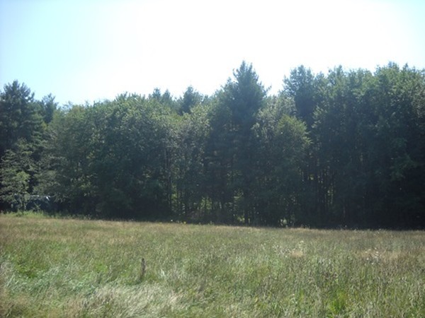 0 Whitaker Road Westfield, MA 01085 - Photo 5 of 7 Gallery Image 5