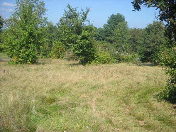 0 Whitaker Road Westfield, MA 01085 - Photo 6 of 7 Gallery Image 6