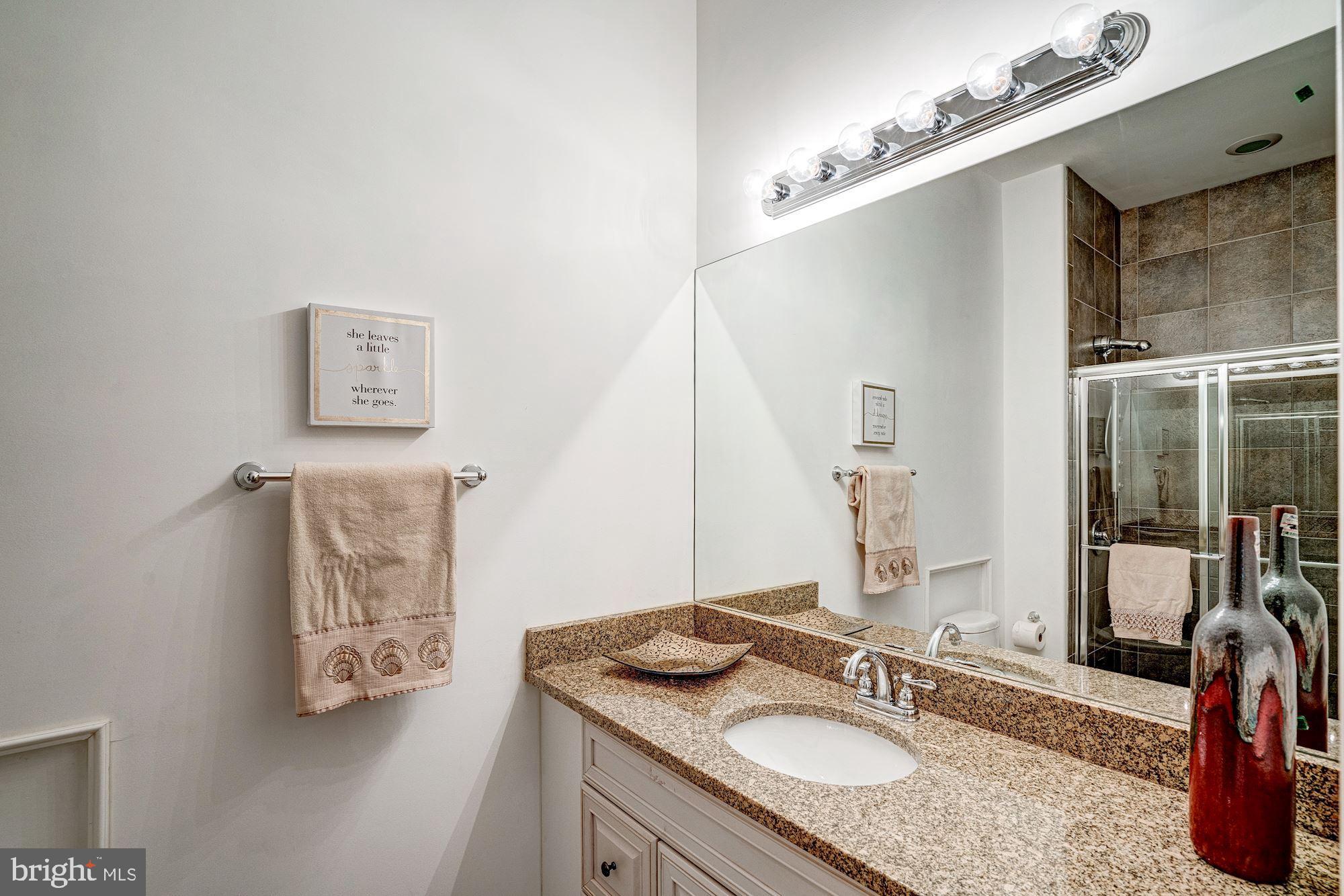 946 Seneca Road Great Falls, VA 22066 - Photo 93 of 106