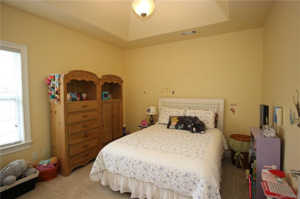 119 Rushing Water Lane Troutman, NC 28166 - Photo 20 of 24