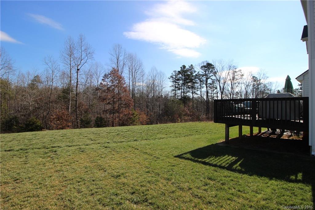 119 Rushing Water Lane Troutman, NC 28166 - Photo 24 of 24