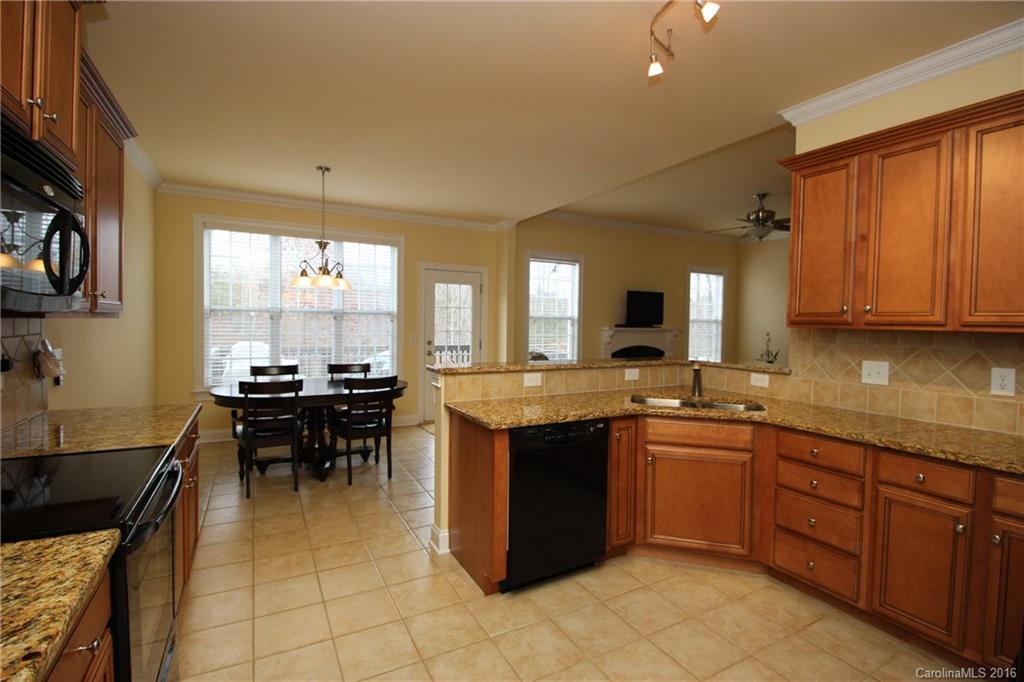 119 Rushing Water Lane Troutman, NC 28166 - Photo 9 of 24