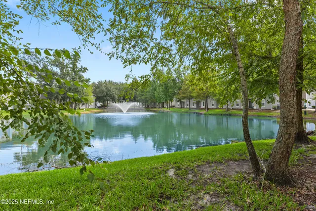 a body of water with a tree in the background