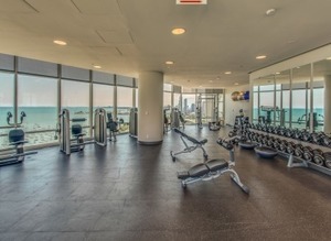 340 East Randolph Street, Unit 500 Chicago, IL 60601 - Photo 20 of 25