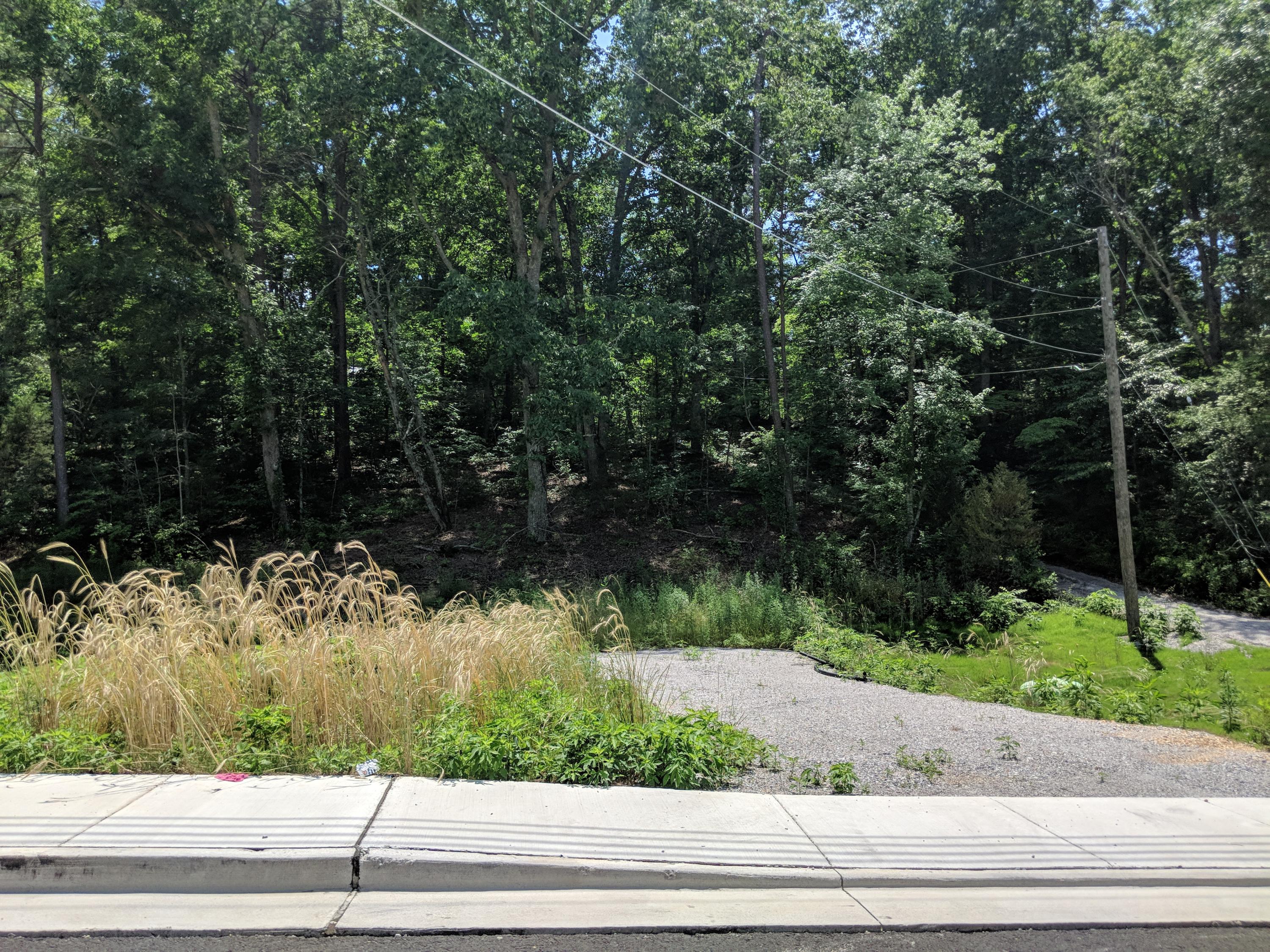 MVIMG_20180605_145345