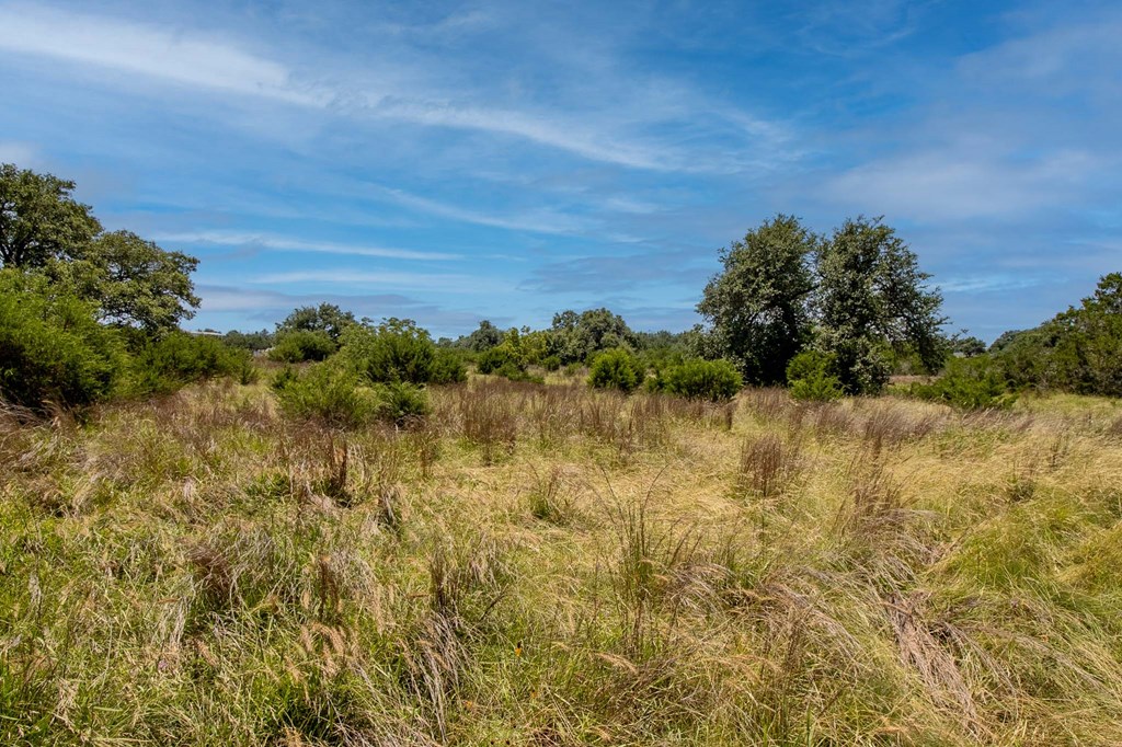 0 Quail Run Road Mountain Home, TX 78058 - Photo 7 of 8