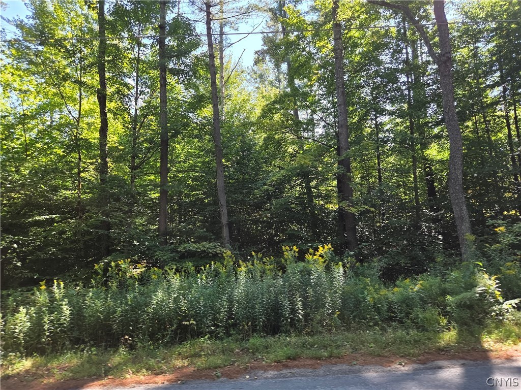 5566 Partridgeville Road Greig, NY 13312 - Photo 1 of 3
